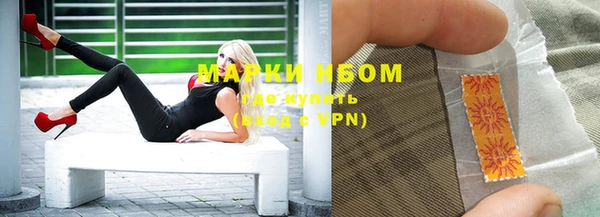 индика Дмитриев