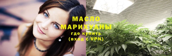 индика Дмитриев