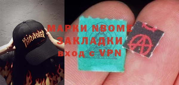 индика Дмитриев