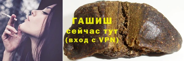 индика Дмитриев