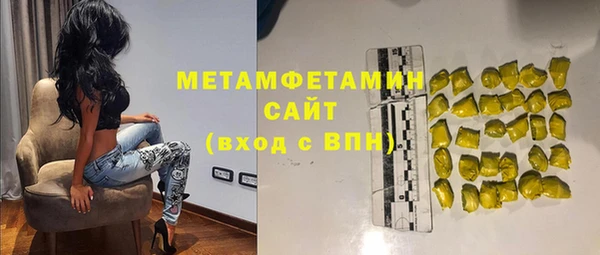 индика Дмитриев