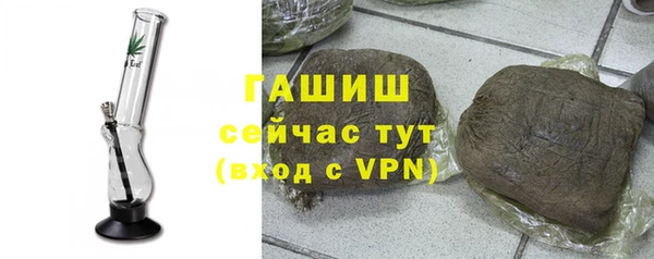 индика Дмитриев