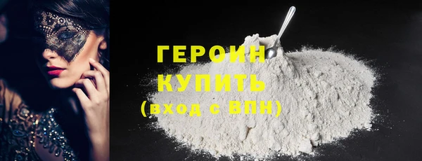 индика Дмитриев