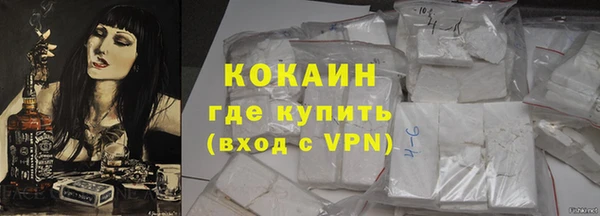 индика Дмитриев