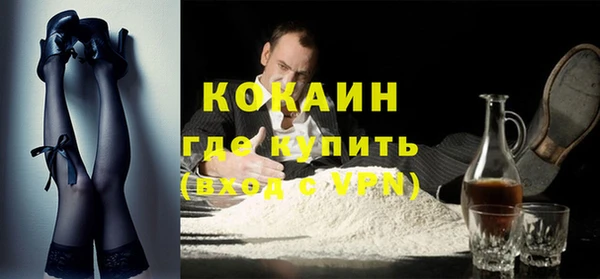 индика Дмитриев