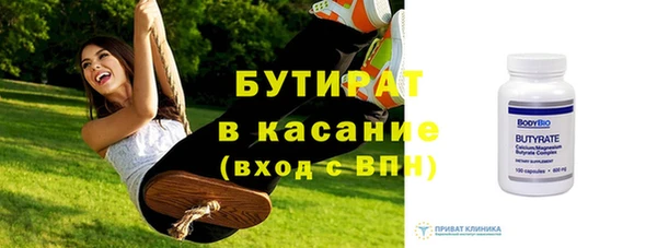 индика Дмитриев