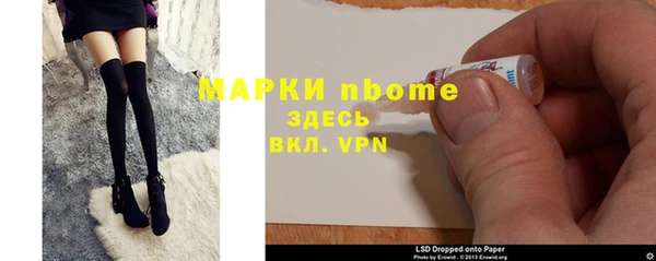 индика Дмитриев