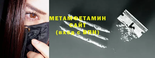 индика Дмитриев