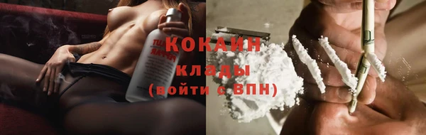 индика Дмитриев