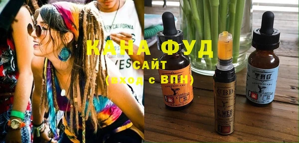 индика Дмитриев