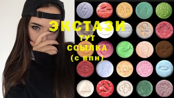индика Дмитриев