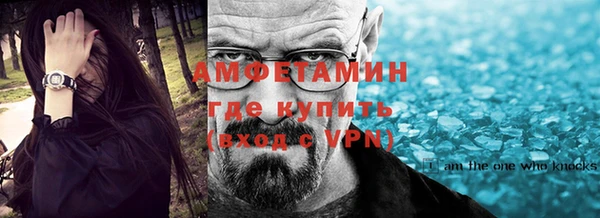 индика Дмитриев